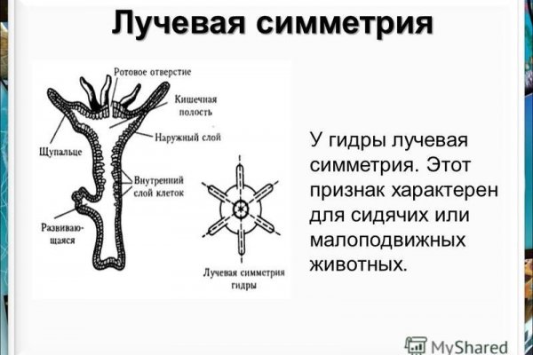 Кракен новый сайт