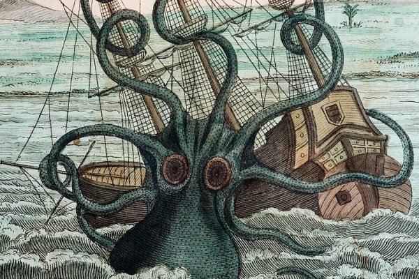 Kraken whitenet market