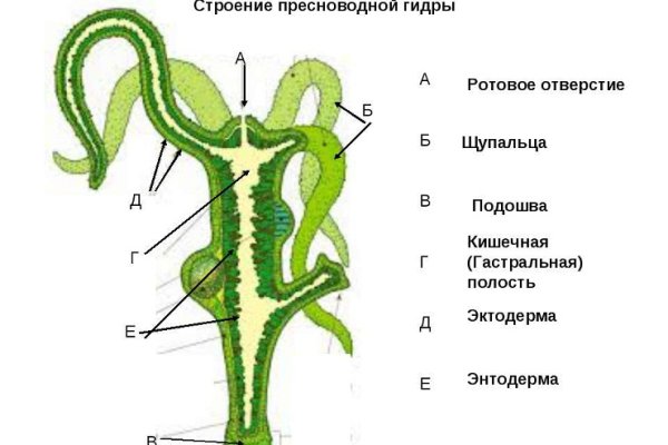 Kraken russia