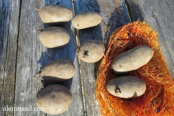 Пользователь не найден кракен супернет